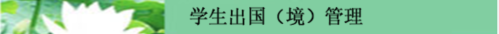 wedvictor伟德